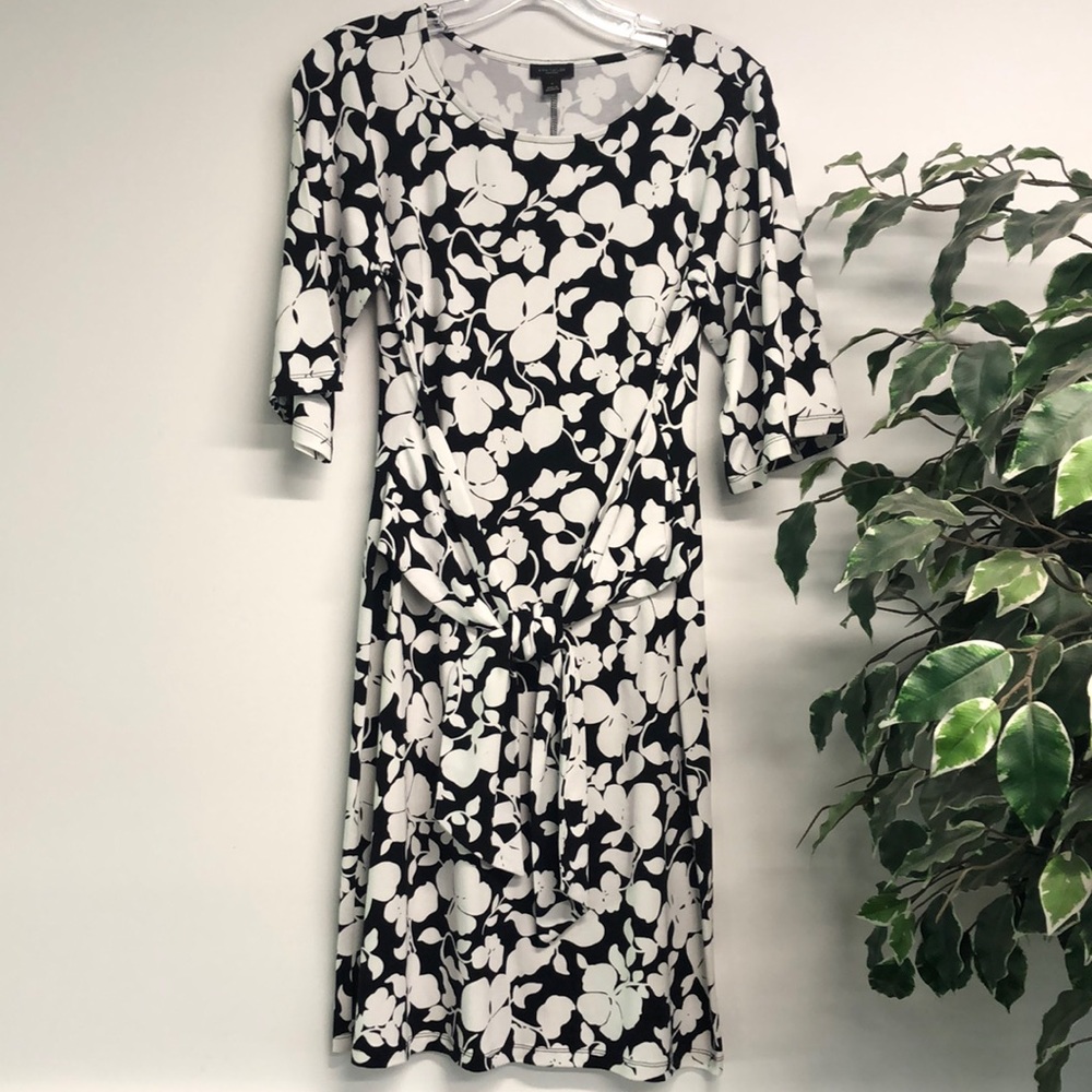 NWT Ann Taylor Dress